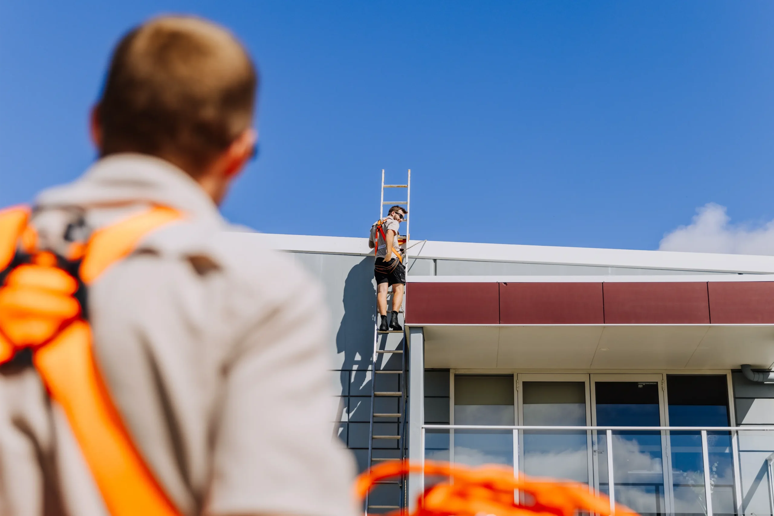 A Gecko installer heading up to a Coffs Coast rooftop for a solar job